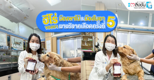 บริจาคเลือด15