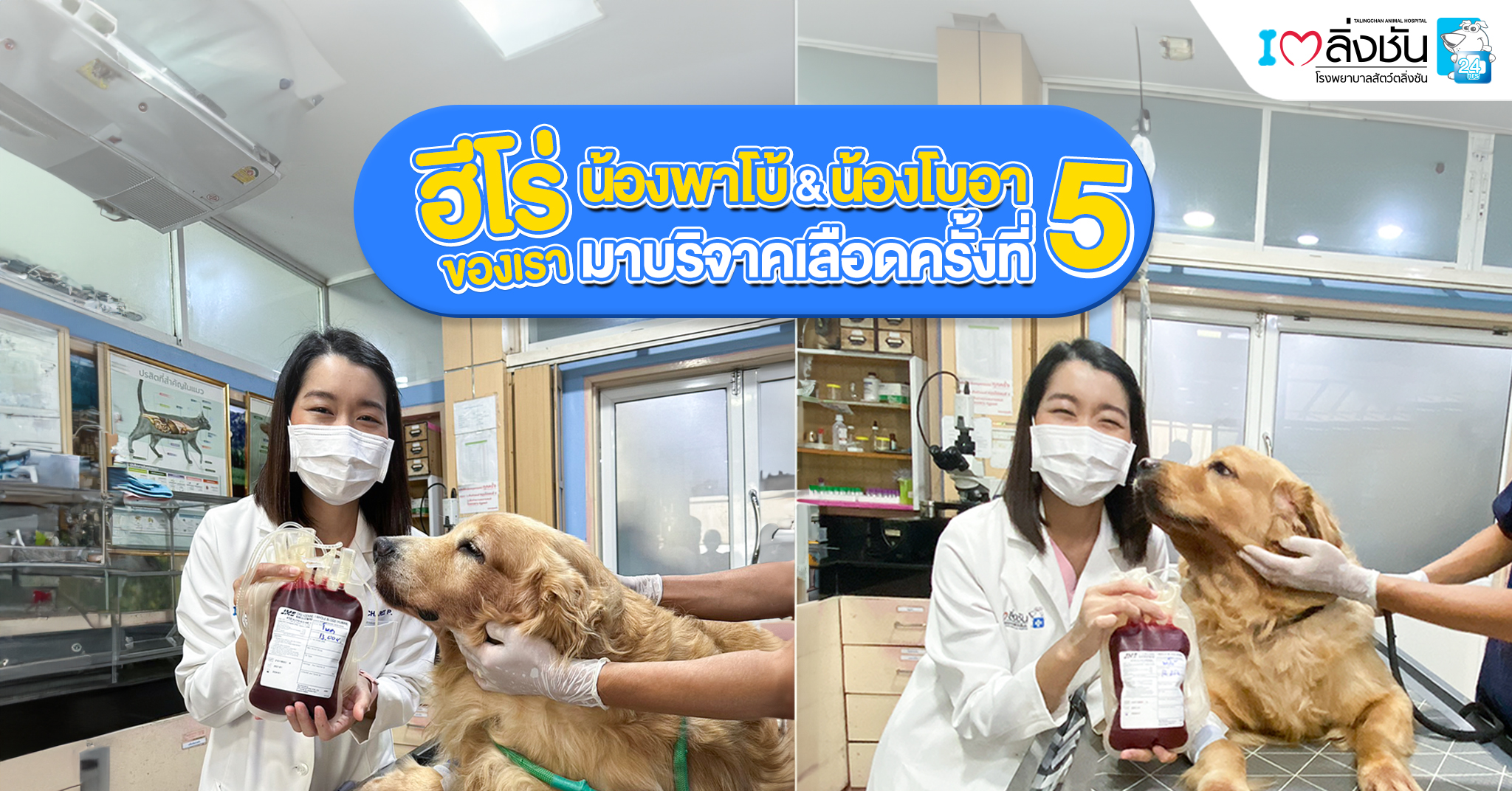 บริจาคเลือด15