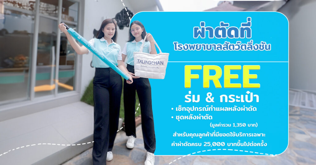 โปรโมทกระเป๋า+ร่ม2