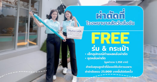 โปรโมทกระเป๋า+ร่ม2
