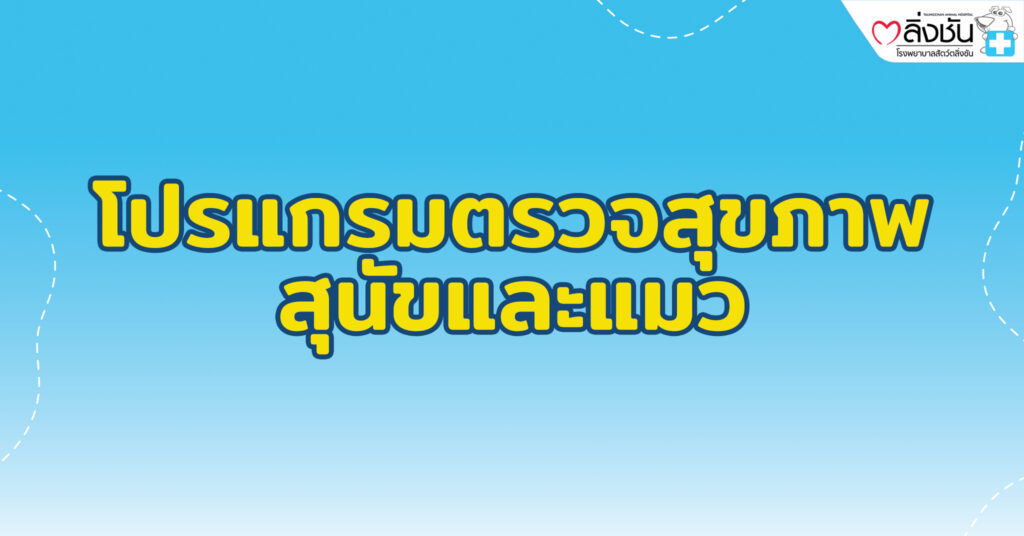 ตรวจสุขภาพหมาแมว2023