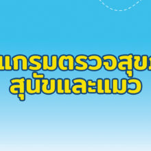 ตรวจสุขภาพหมาแมว2023