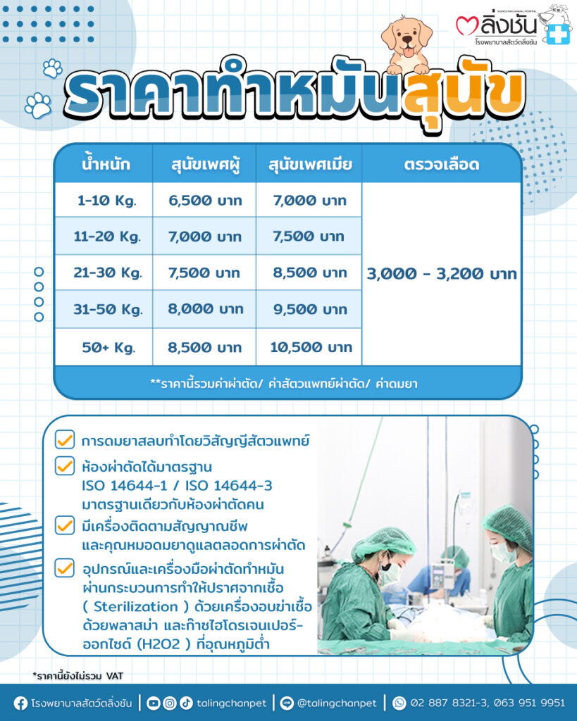 ทำหมันสุนัข2023