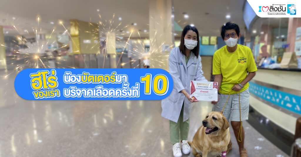บริจาคเลือดครั้งที่10