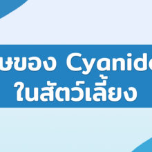 พิษของ Cyanide ในสัตว์เลี้ยง