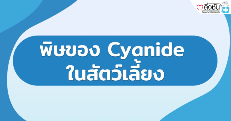พิษของ Cyanide ในสัตว์เลี้ยง