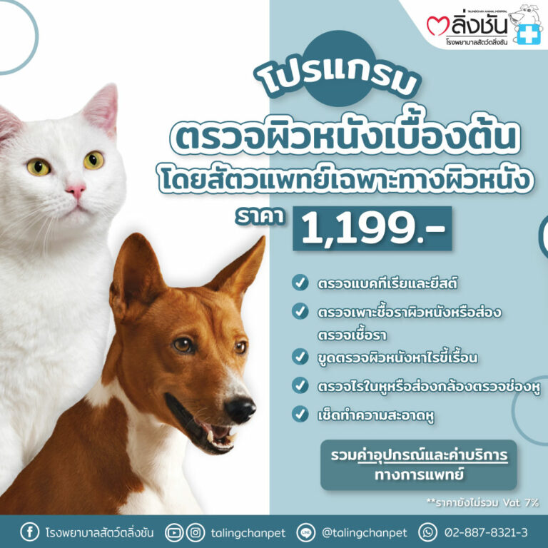 โปรแกรมตรวจผิวหนัง