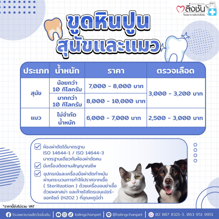 ขูดหินปูน