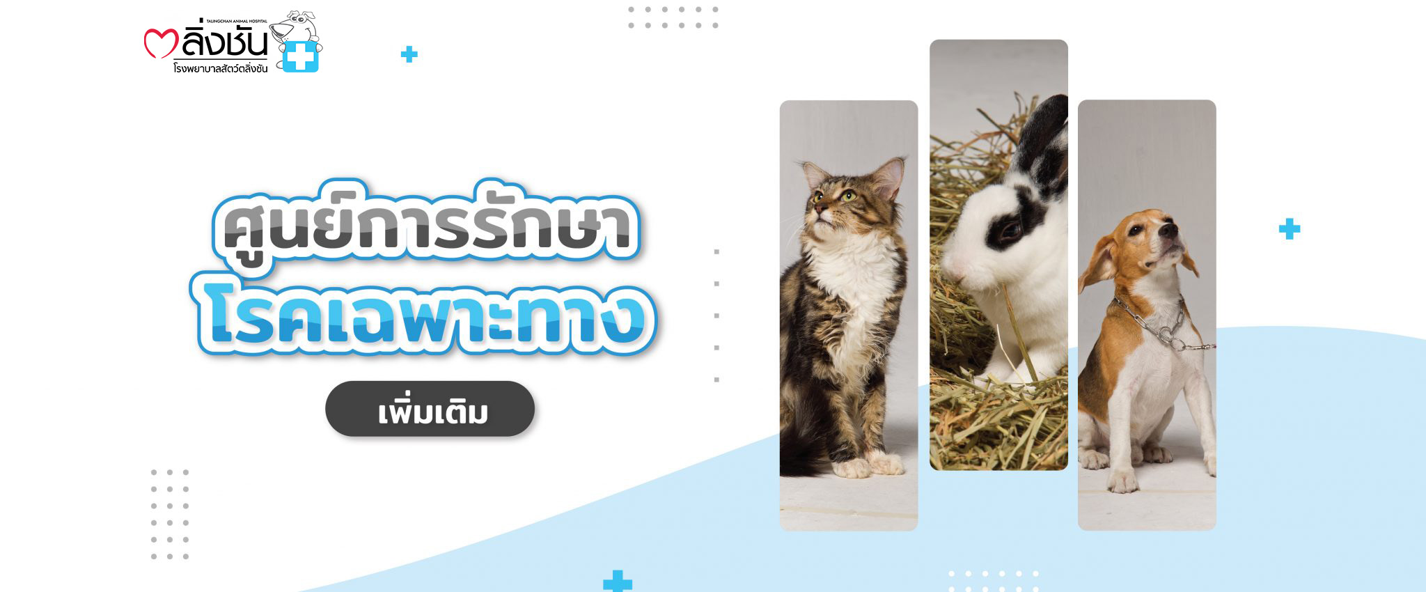 รักษาโรคเฉพาะทาง20ศูนย์