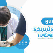 ศูนย์ระบบประสาท
