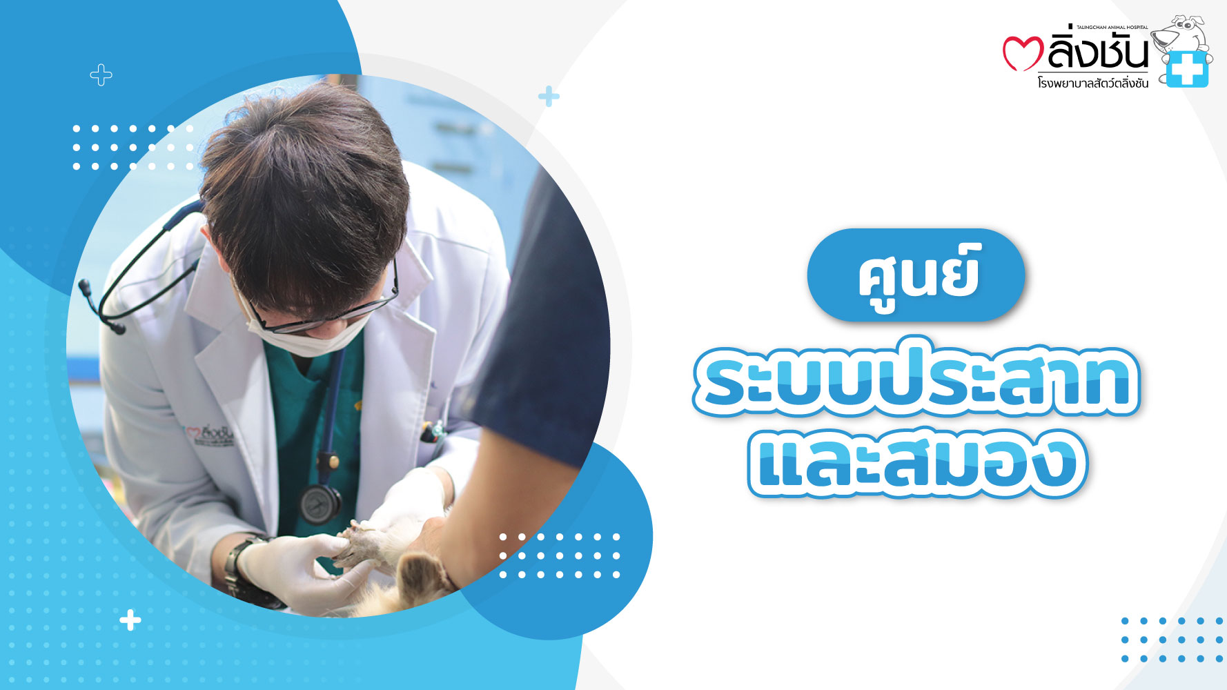ศูนย์ระบบประสาท