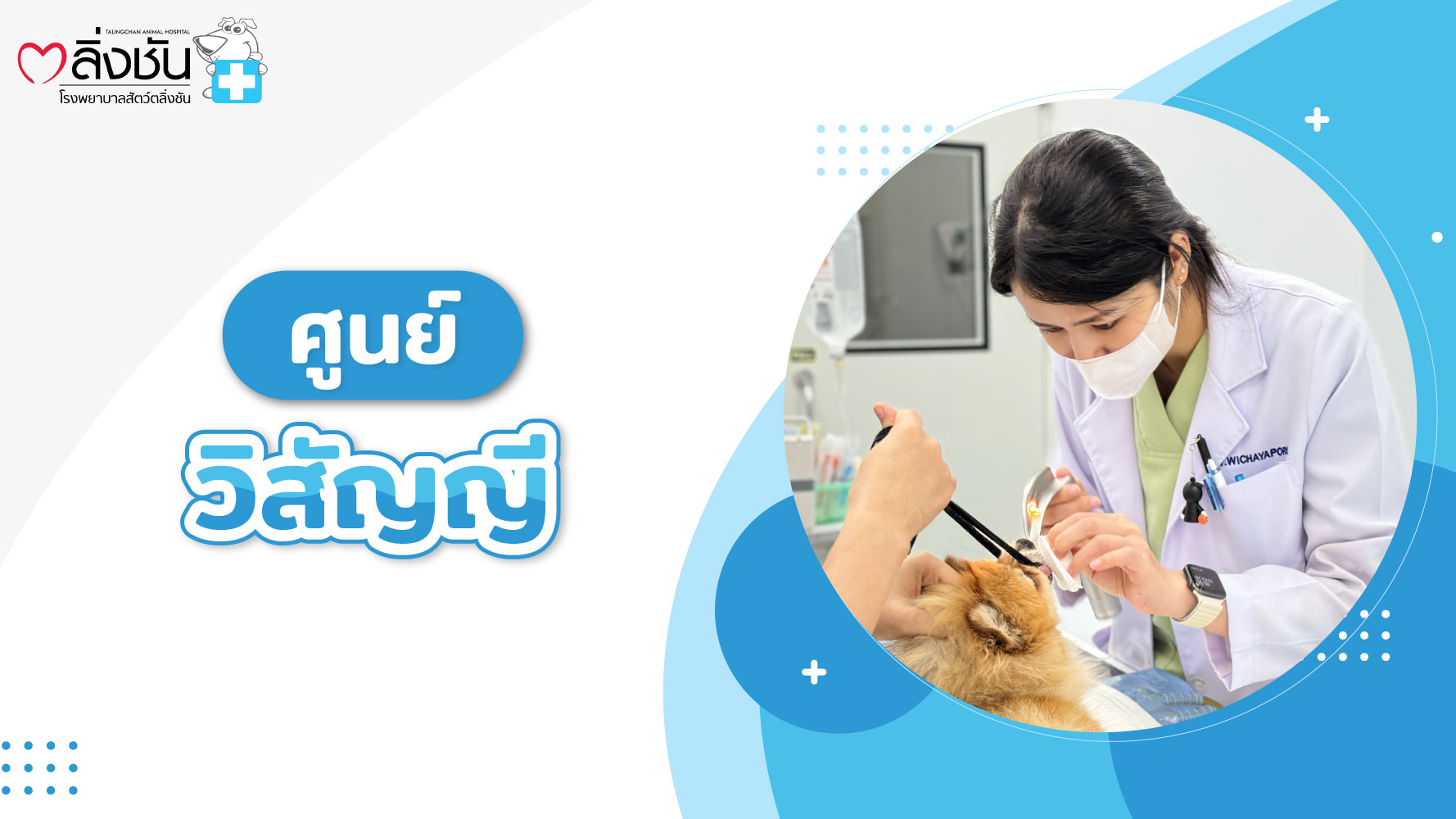 ศูนย์วิสัญญี