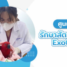 ศูนย์รักษาสัตว์ Exotic