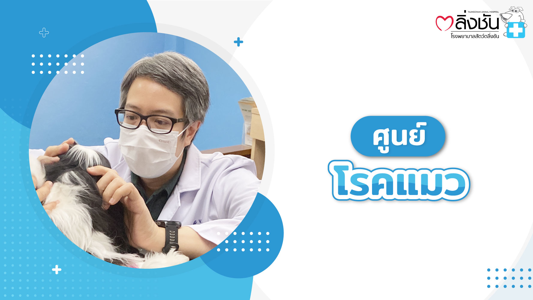 ศูนย์โรคแมว