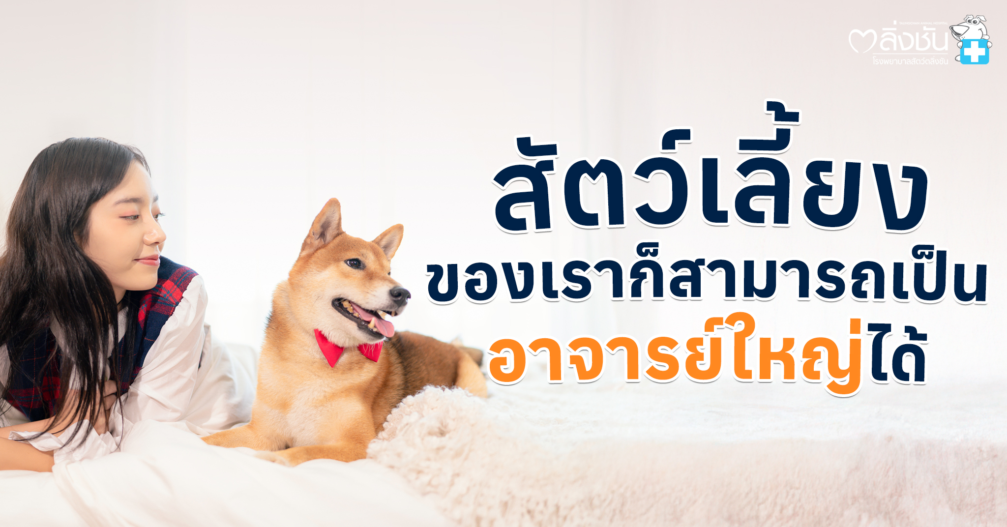 นอกจากคนแล้ว สัตว์ก็สามารถบริจาคร่างกายเพื่อเป็น “อาจารย์ใหญ่” ให้กับนักศึกษาสัตวแพทย์ได้เหมือนกัน เพื่อใช้ในการเรียนรู้โครงสร้างร่างกายจริง ๆ และช่วยพัฒนาการรักษาสำหรับสัตว์อื่น ๆ ในอนาคต